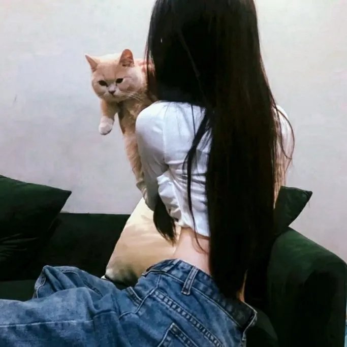 蛊惑仔与大滚王