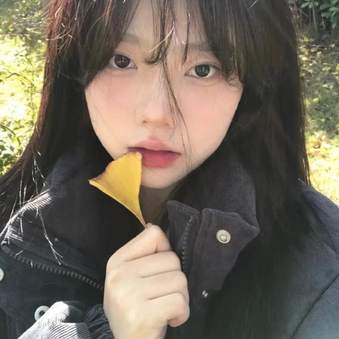 宁静的夏天